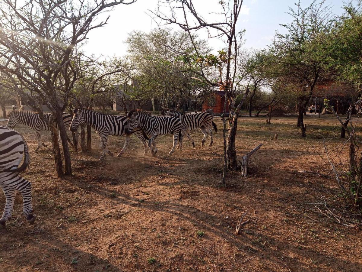 Marloth Kruger View Apartment Марлот Парк Екстериор снимка