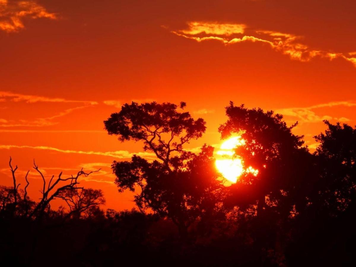 Marloth Kruger View Apartment Марлот Парк Екстериор снимка