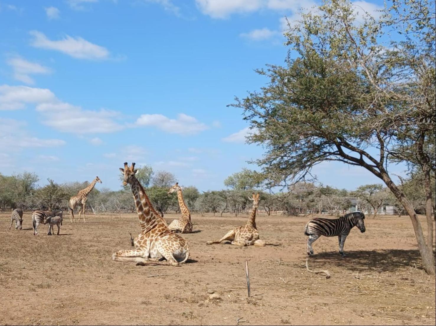 Marloth Kruger View Apartment Марлот Парк Екстериор снимка