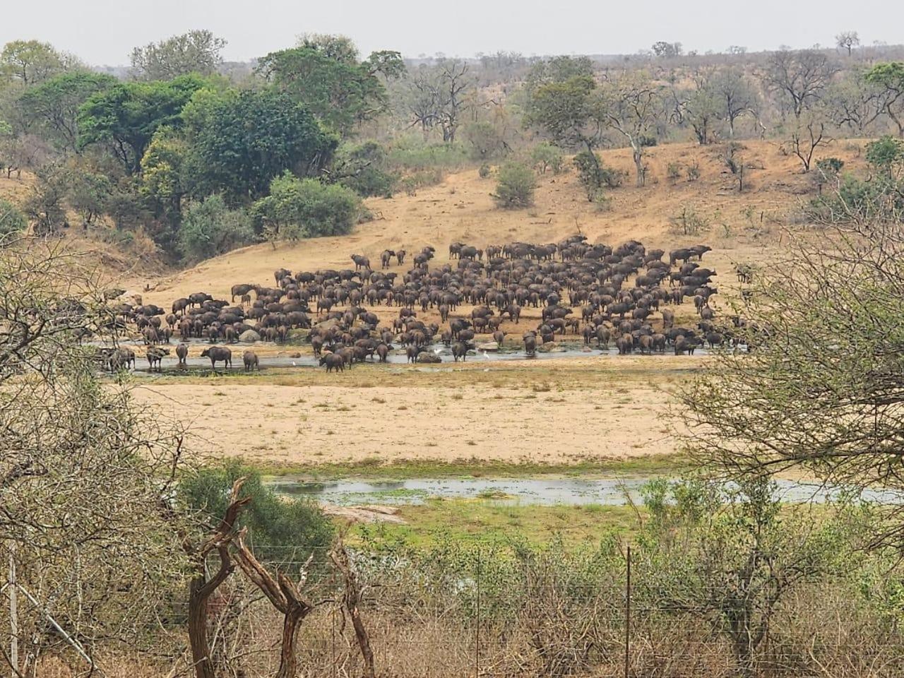 Marloth Kruger View Apartment Марлот Парк Екстериор снимка